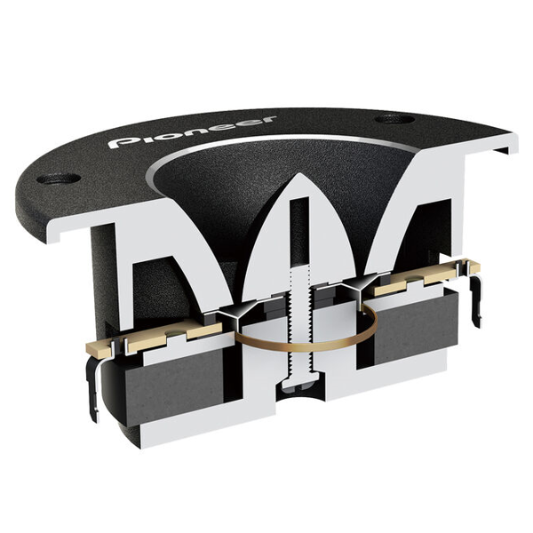 PIONEER TS-B1010PRO 2