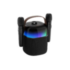 ProCaster Upbeat karaokekaiutin kahdella mikrofonilla-2